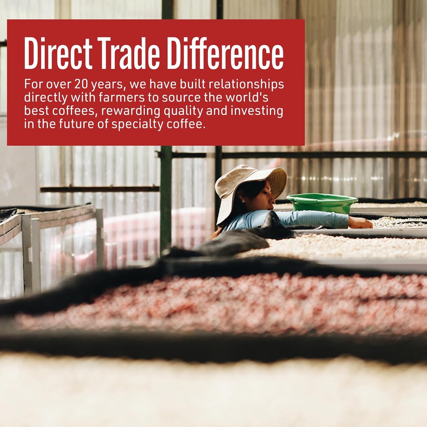 Intelligentsia Coffee, Dark Roast Whole Bean Coffee - El Diablo Blend 36 Ounces (3 Bags of 12 Ounces)