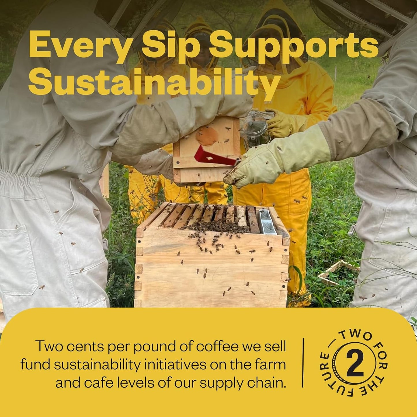 Counter Culture Coffee - Fresh Roasted Certified Organic Whole Bean Coffee (Kosher) (Even Keel Double Pack)