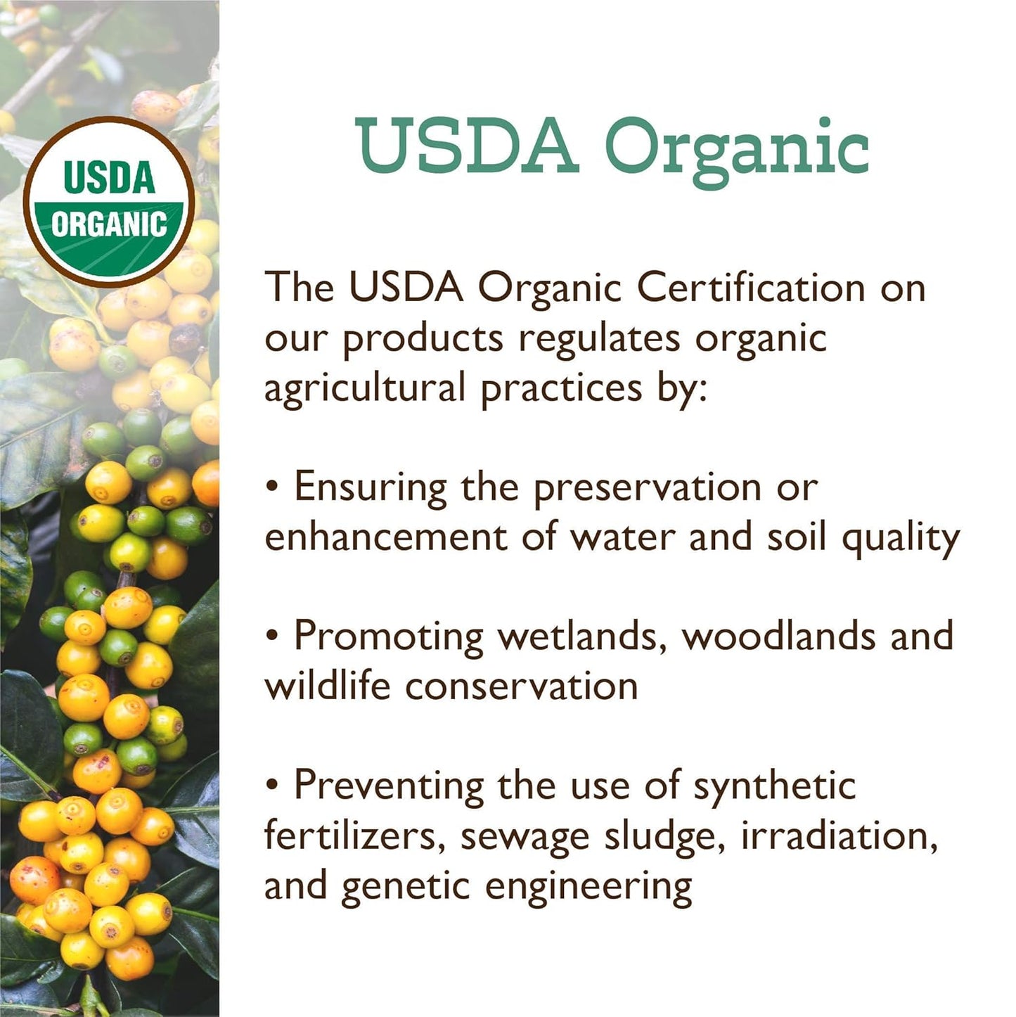 Fresh Roasted Coffee, Organic Colombian | USDA Organic, 100% Single Origin, Kosher | Medium Roast 5 lb (80 oz) Ground