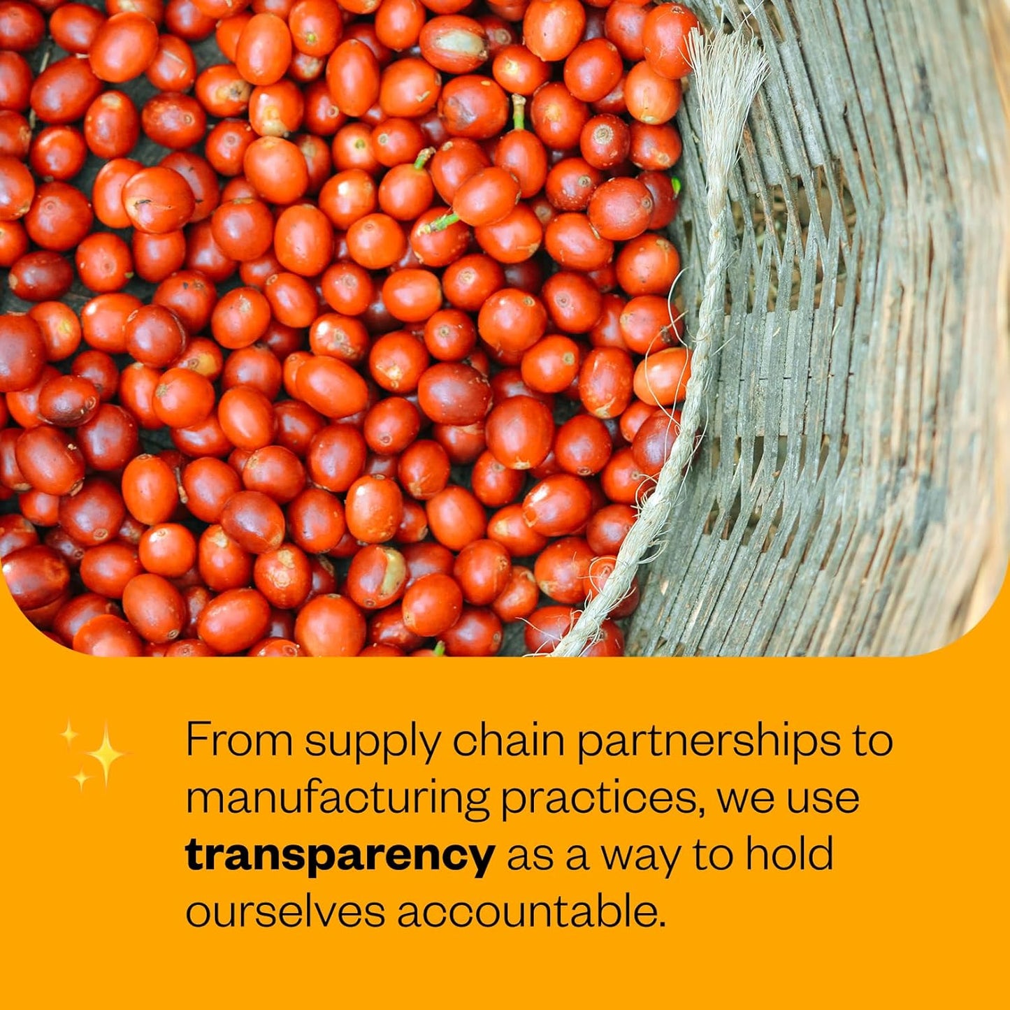 Counter Culture Coffee - Whole Bean Coffee - Freshly Roasted Coffee Beans - Premium Coffee - Multiple Flavors - One 12 Ounce Bag of Each (Fast Forward)