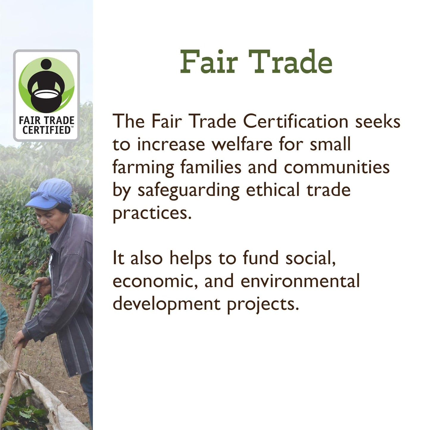 Fresh Roasted Coffee, Organic White Knight | USDA Organic, Kosher | Light Roast 12 oz, Whole Bean