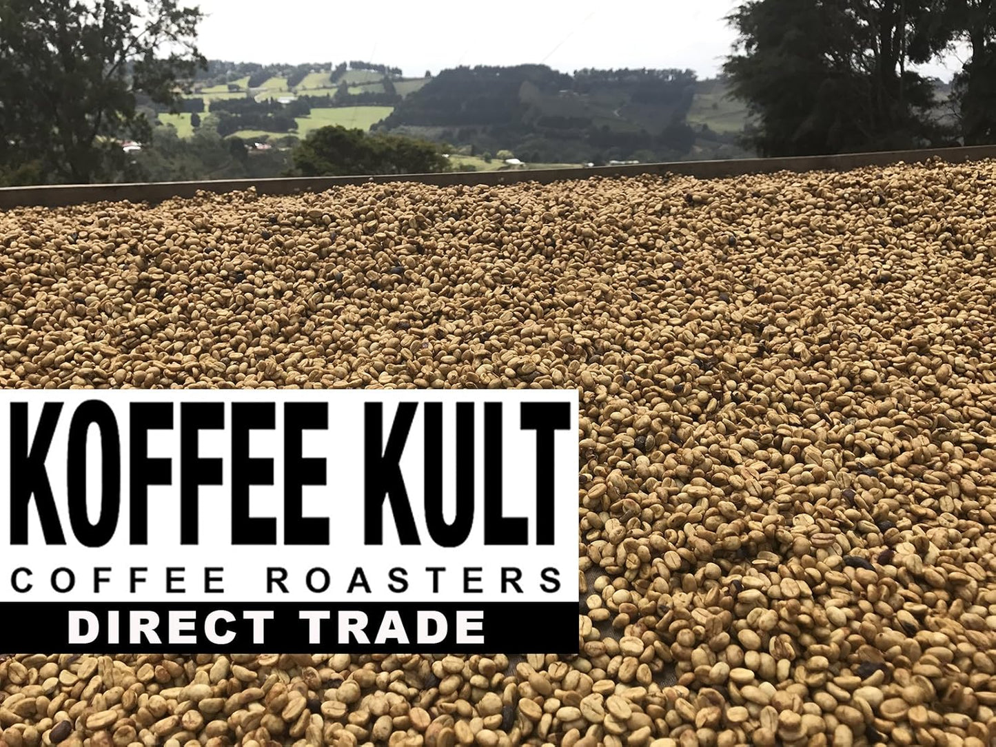 Koffee Kult Thunder Bolt Dark French Roast Whole Bean Coffee - Small Batch 100% Arabica Gourmet Blend, Bold and Well Balanced 32oz Resealable Package