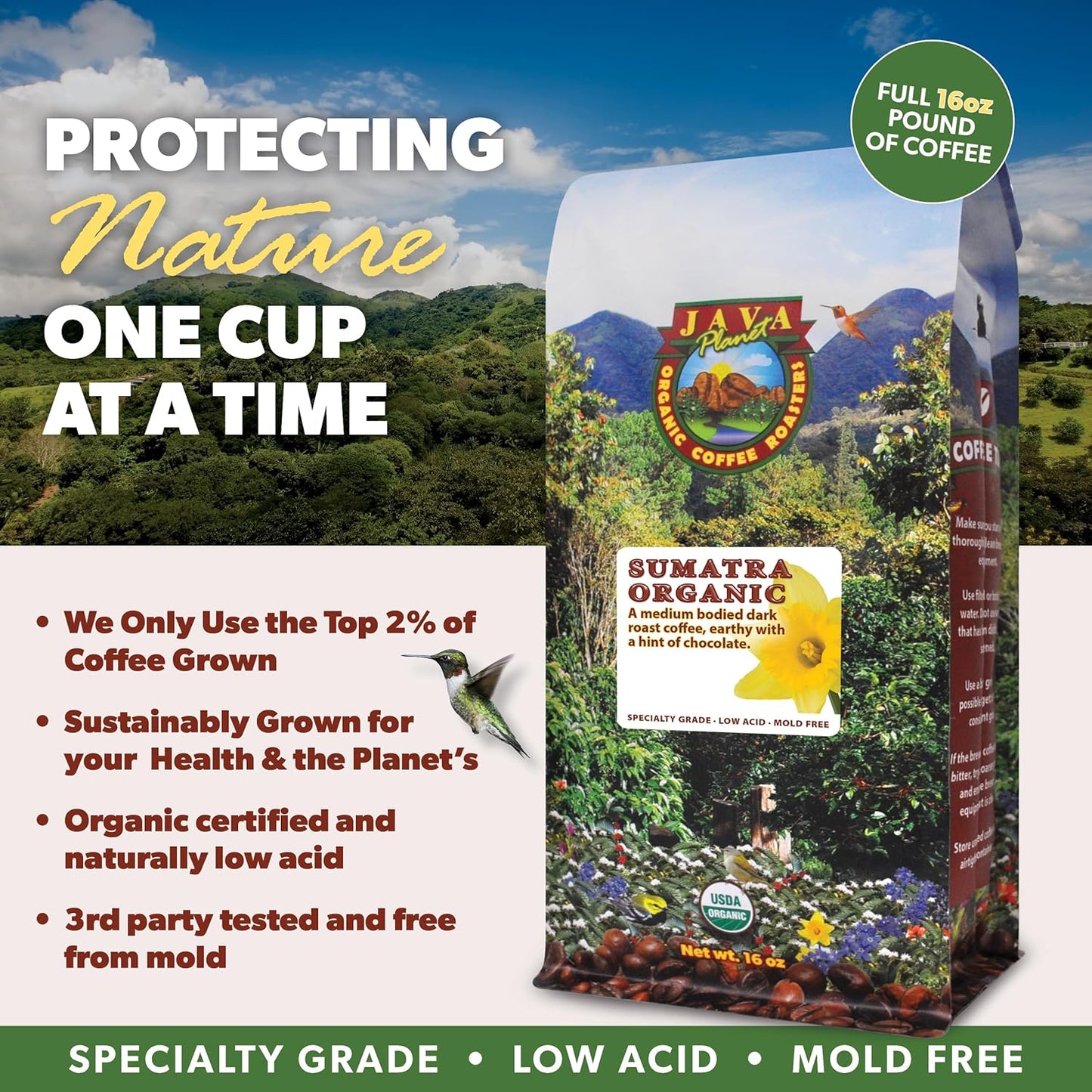 Low Acid Organic Coffee – Whole Bean, Mold-Free & Stomach Friendly by Java Planet, Sumatran Single Origin Coffee, Dark Roast, Smooth Full Flavored, 5LB Bag