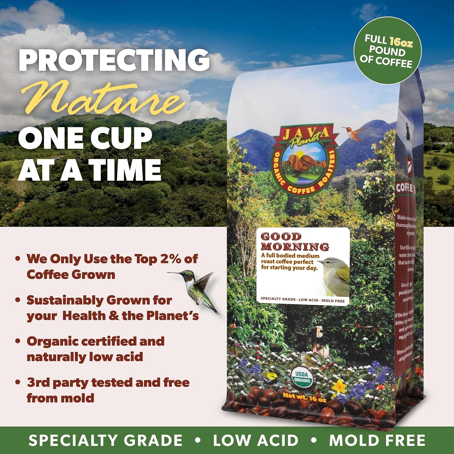 Low Acid Organic Coffee – Whole Bean, Mold-Free & Stomach Friendly by Java Planet, Good Morning Blend Coffee, Medium Roast, Smooth Full Flavored, 5LB Bag