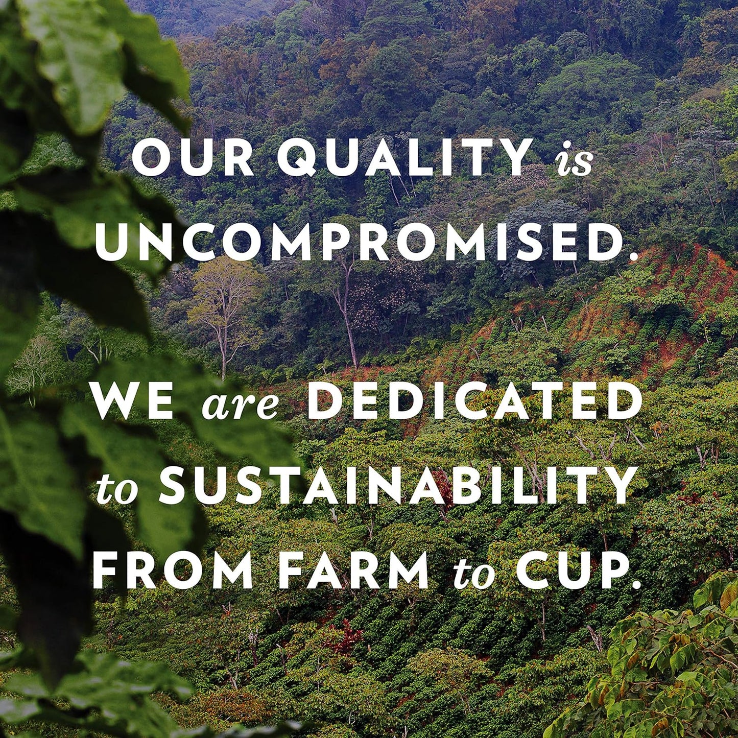 Community Coffee Breakfast Blend, Medium Roast Single-Serve Keurig K-Cup Pods, 12 Count (Pack of 1)